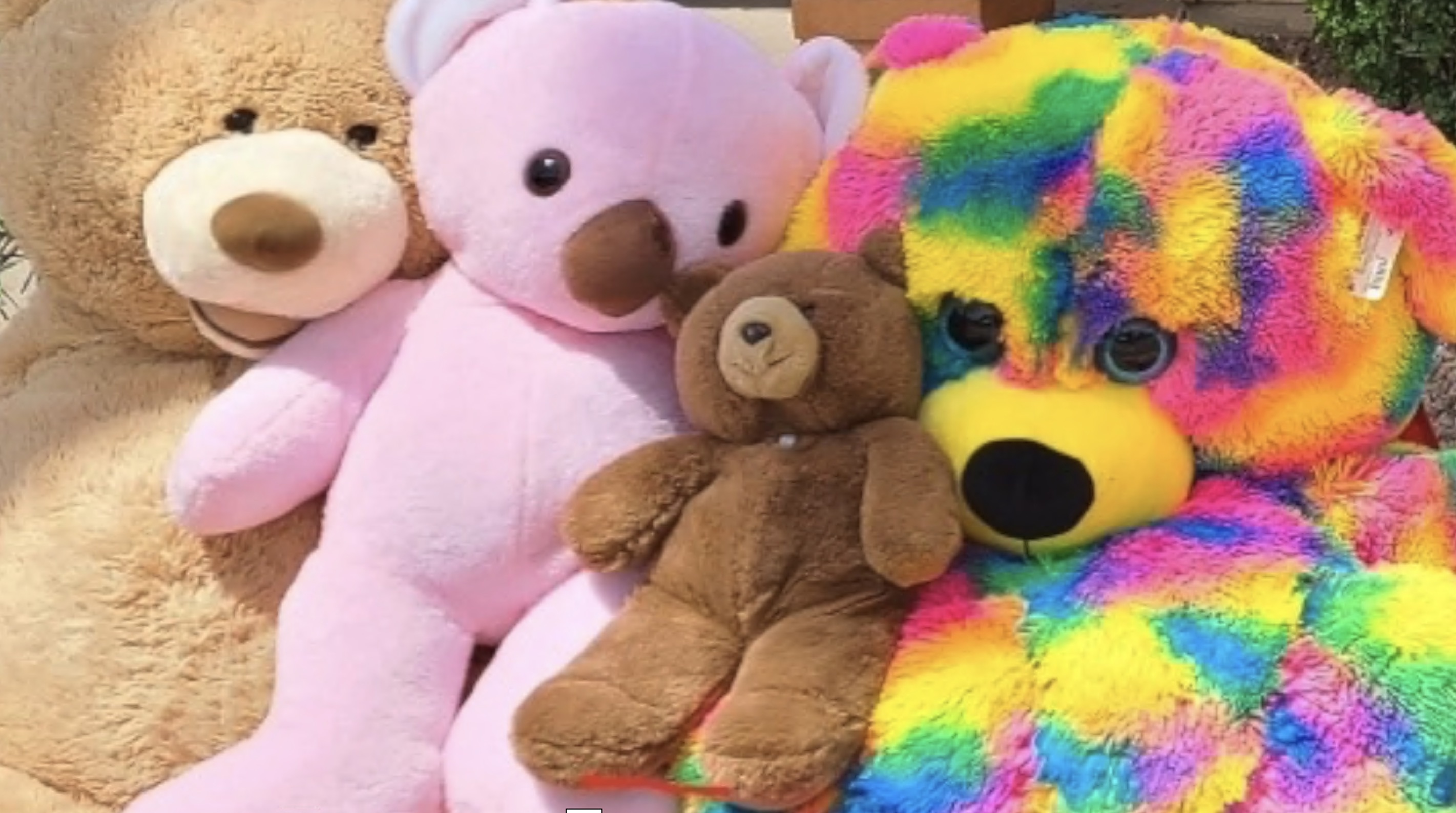 Teddy Bears.jpg