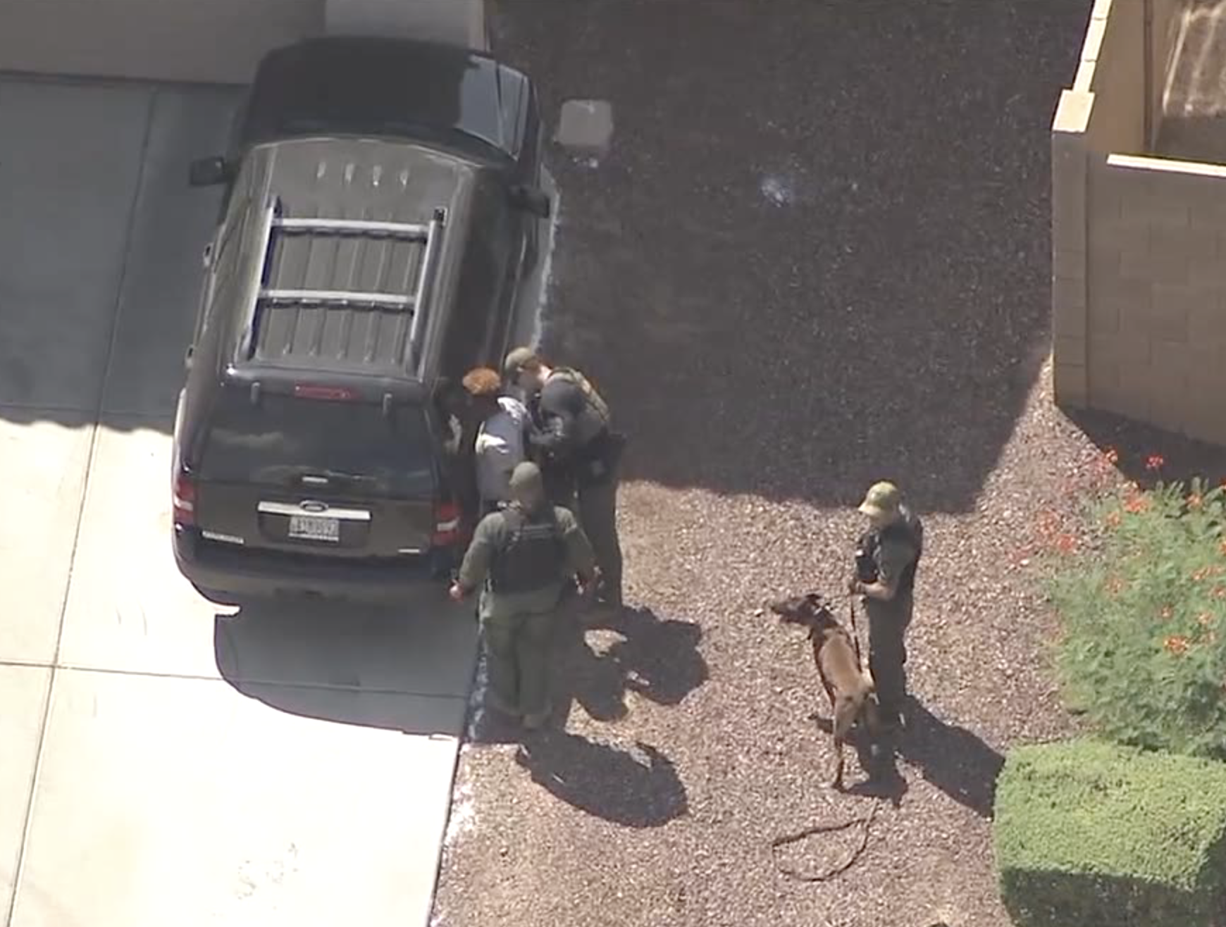 Sex assault suspect taken into custody in Avondale 9-9-19