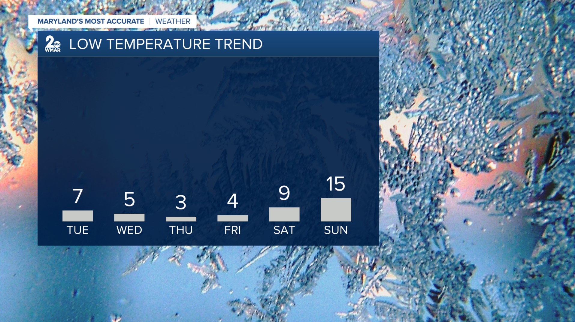 Screenshot 2026-01-26 171234.jpg