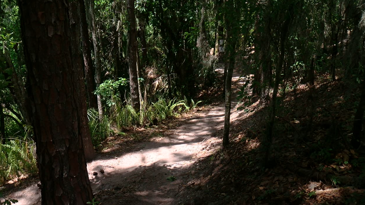 Balm Boyette Scrub Nature Preserve WFTS.png