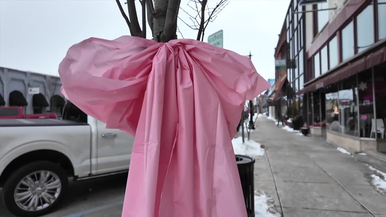 Poster image - 2026-02-05T192836.342.jpg