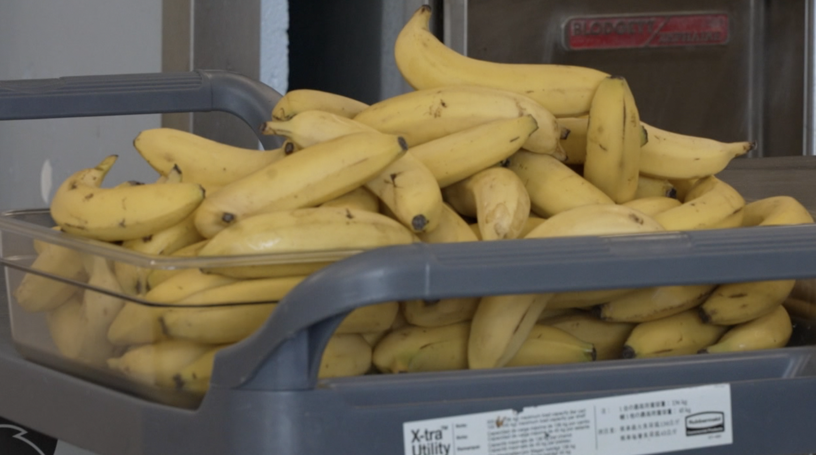 grps food program 2.png
