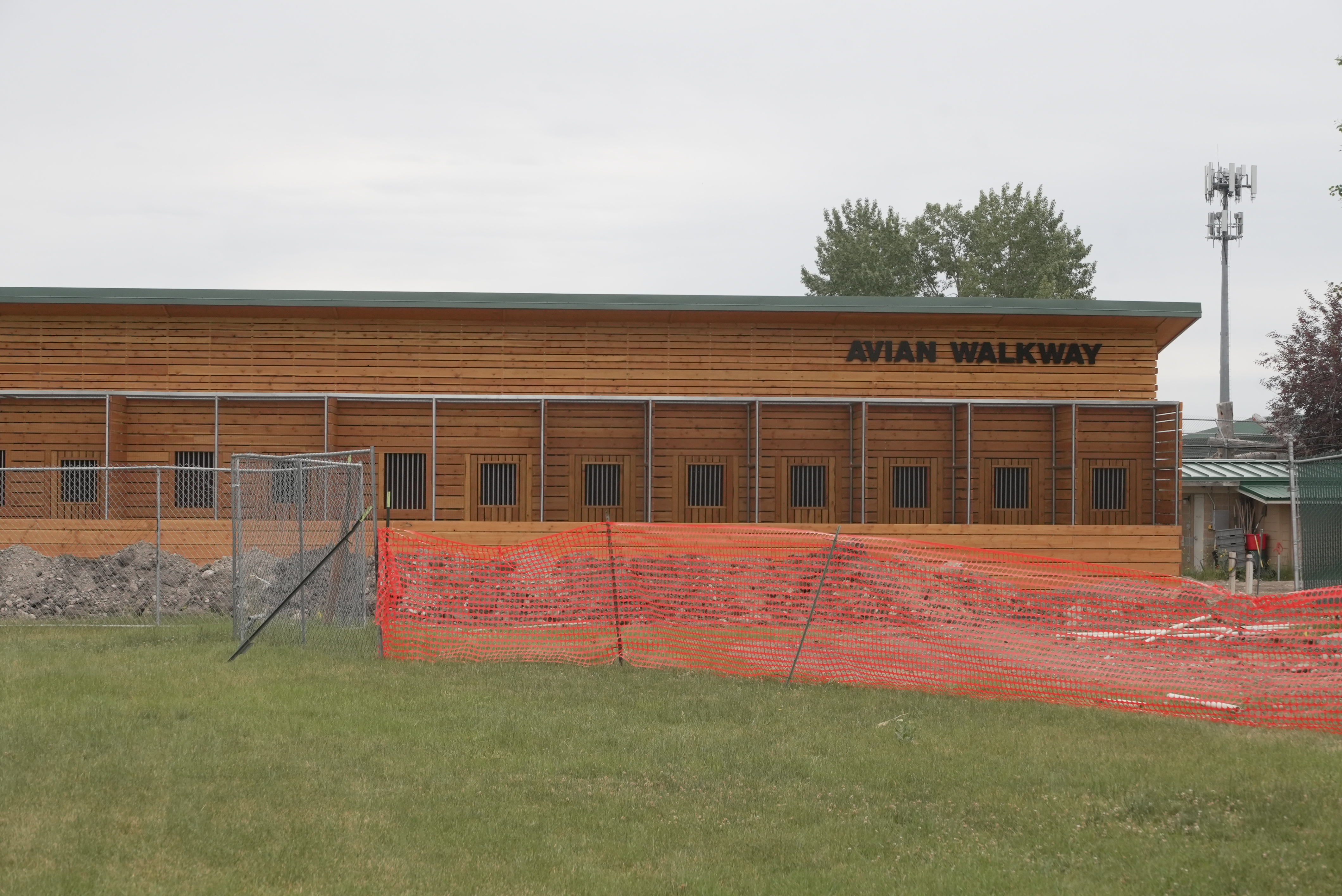avian walkway