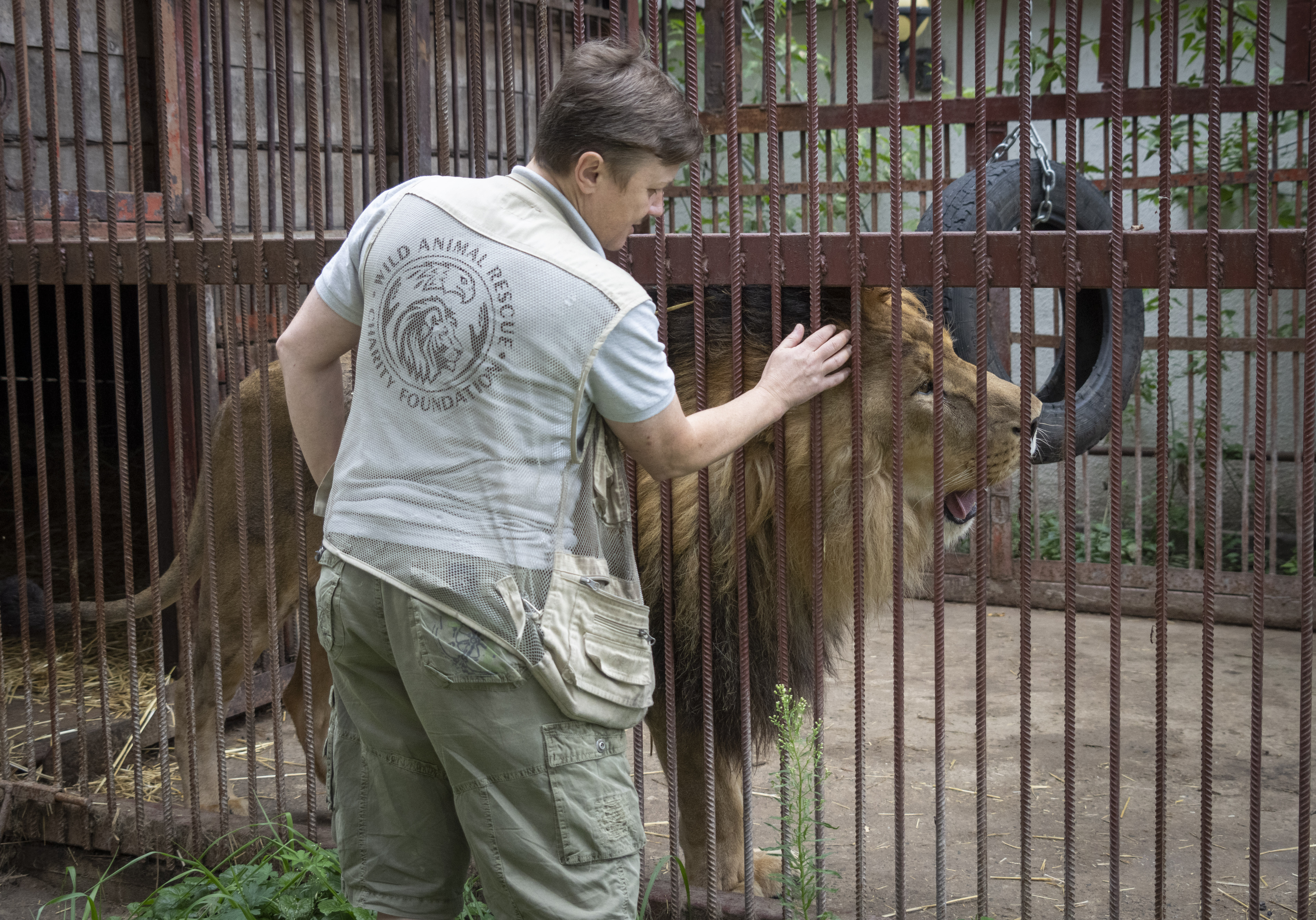 Russia Ukraine War Animals