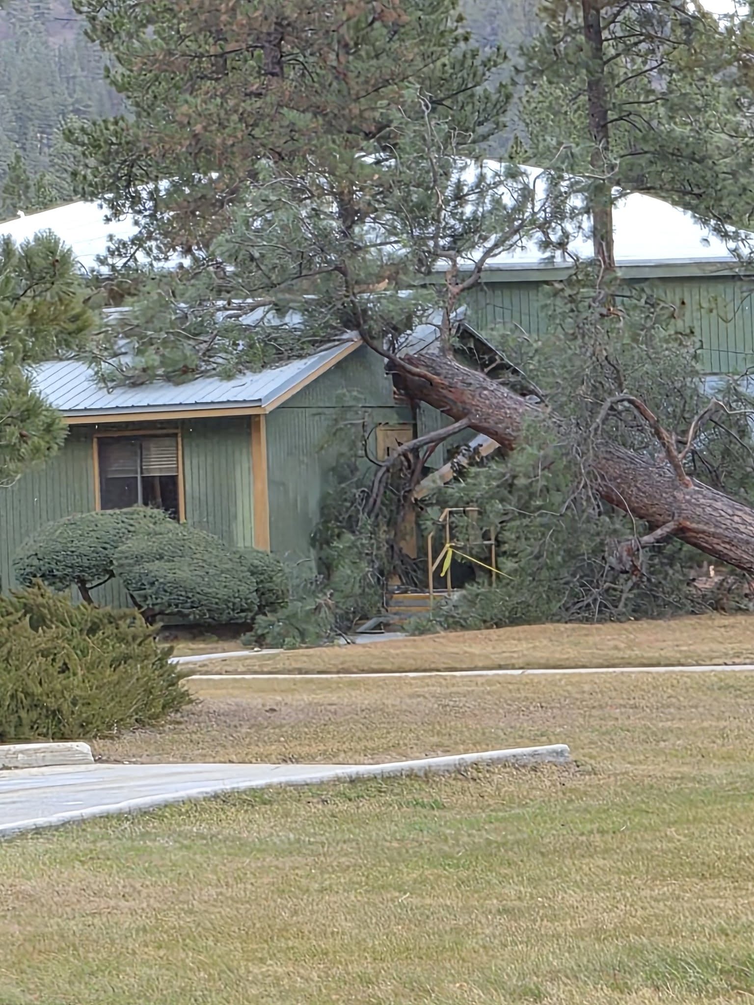 STORM PIC 52 STEWARD MCCRACKEN.jpg