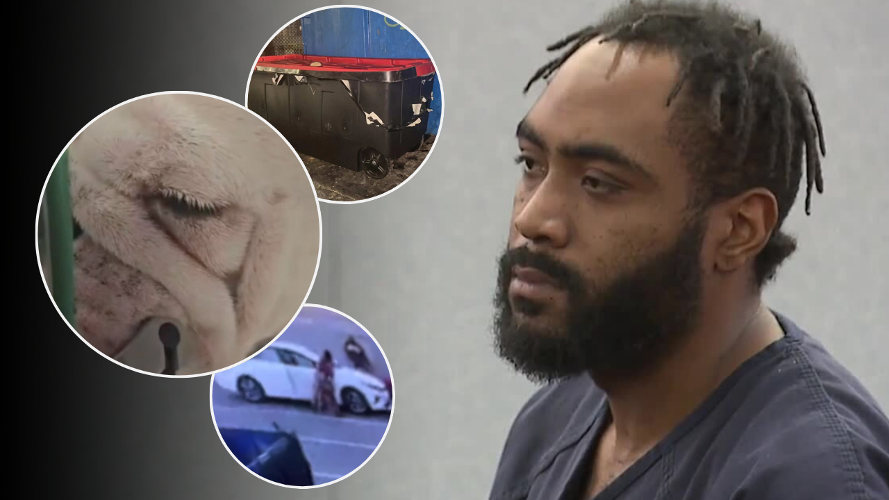 Isaac Laushaul Jr. sentenced to 16 to 48 months in prison for death of Reba the bulldog