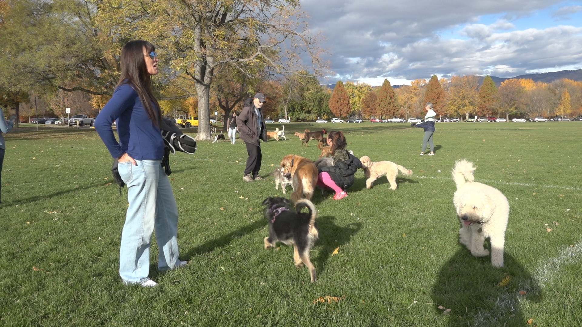 Ann Morrison Off-Leash