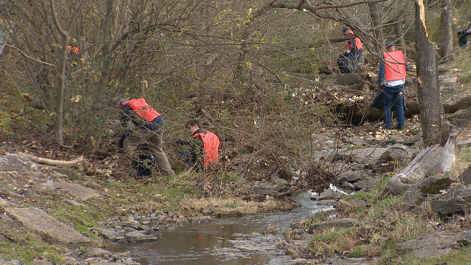 Hendersonville clean-up