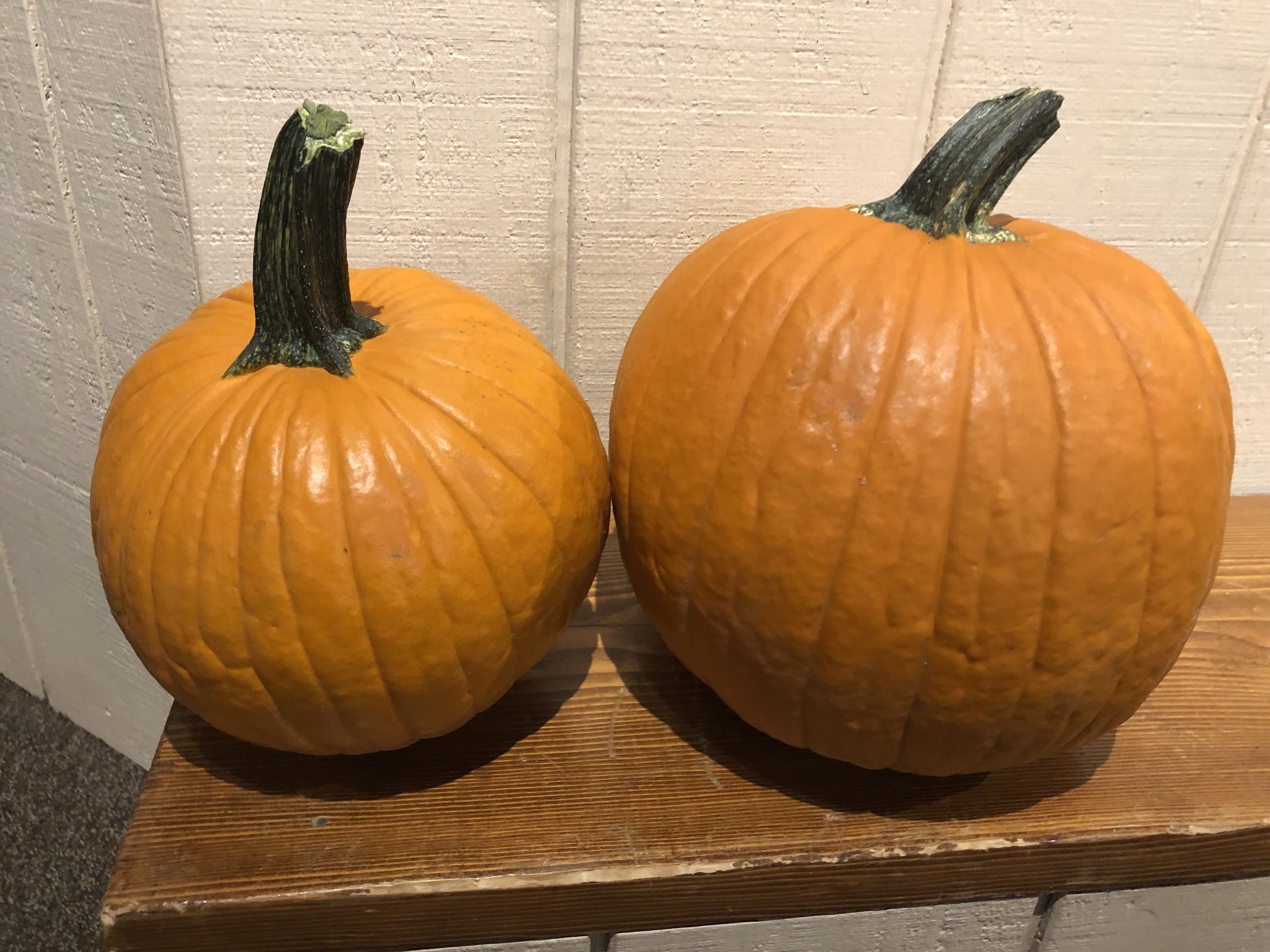 Western Museum of Mining and Industry to host a Harvest Festival and Pumpkin Patch 