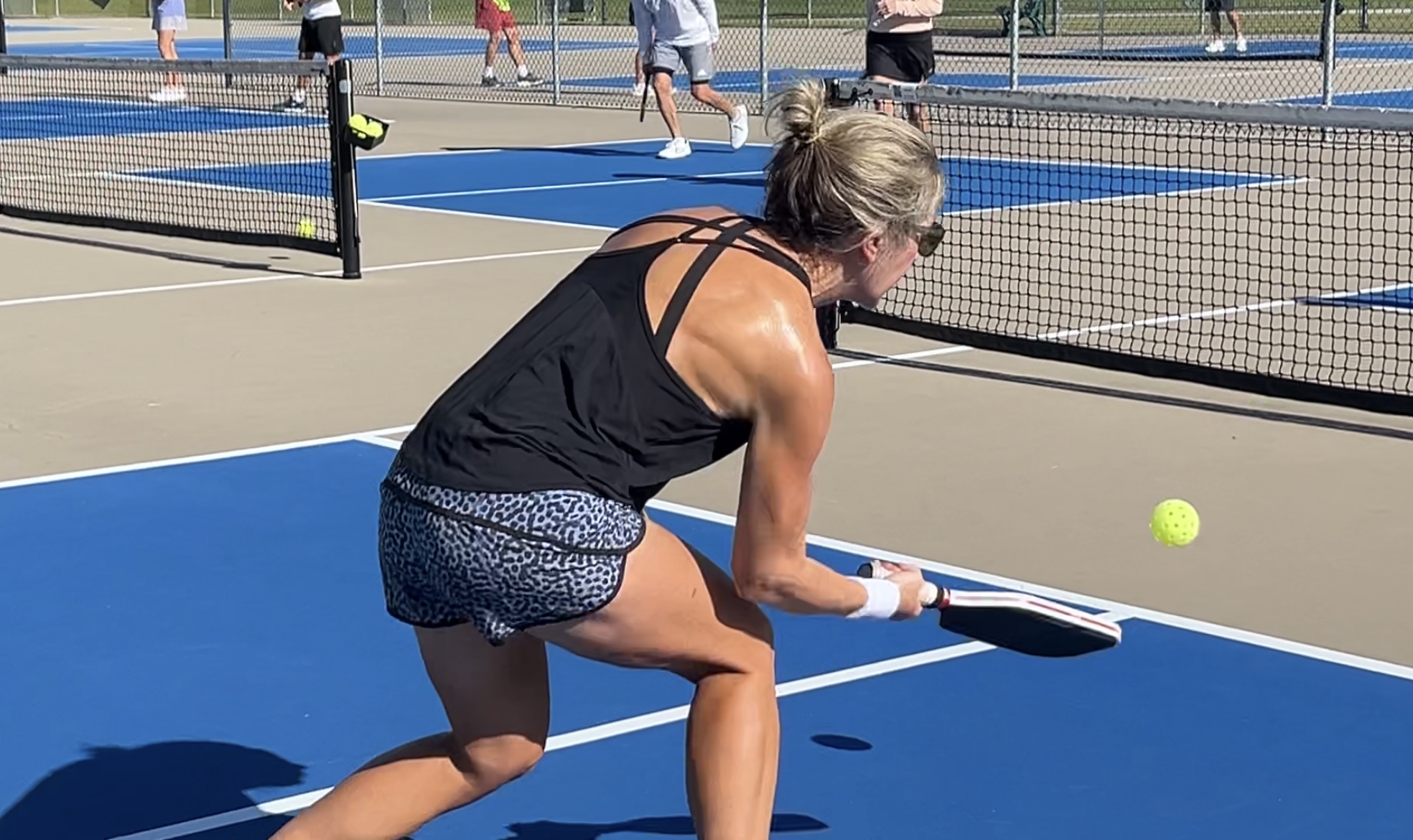 Pickleball Game