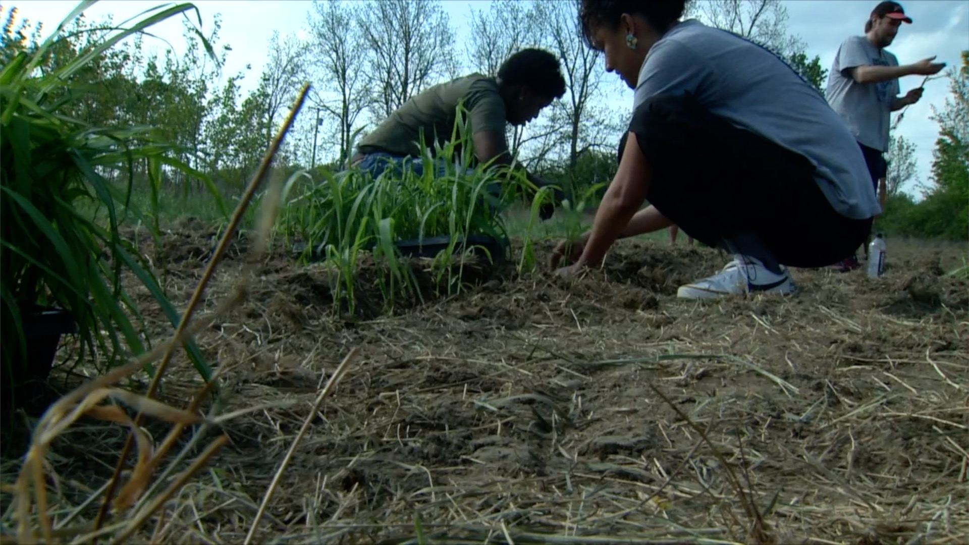 CORN PLANTING DAY.jpg
