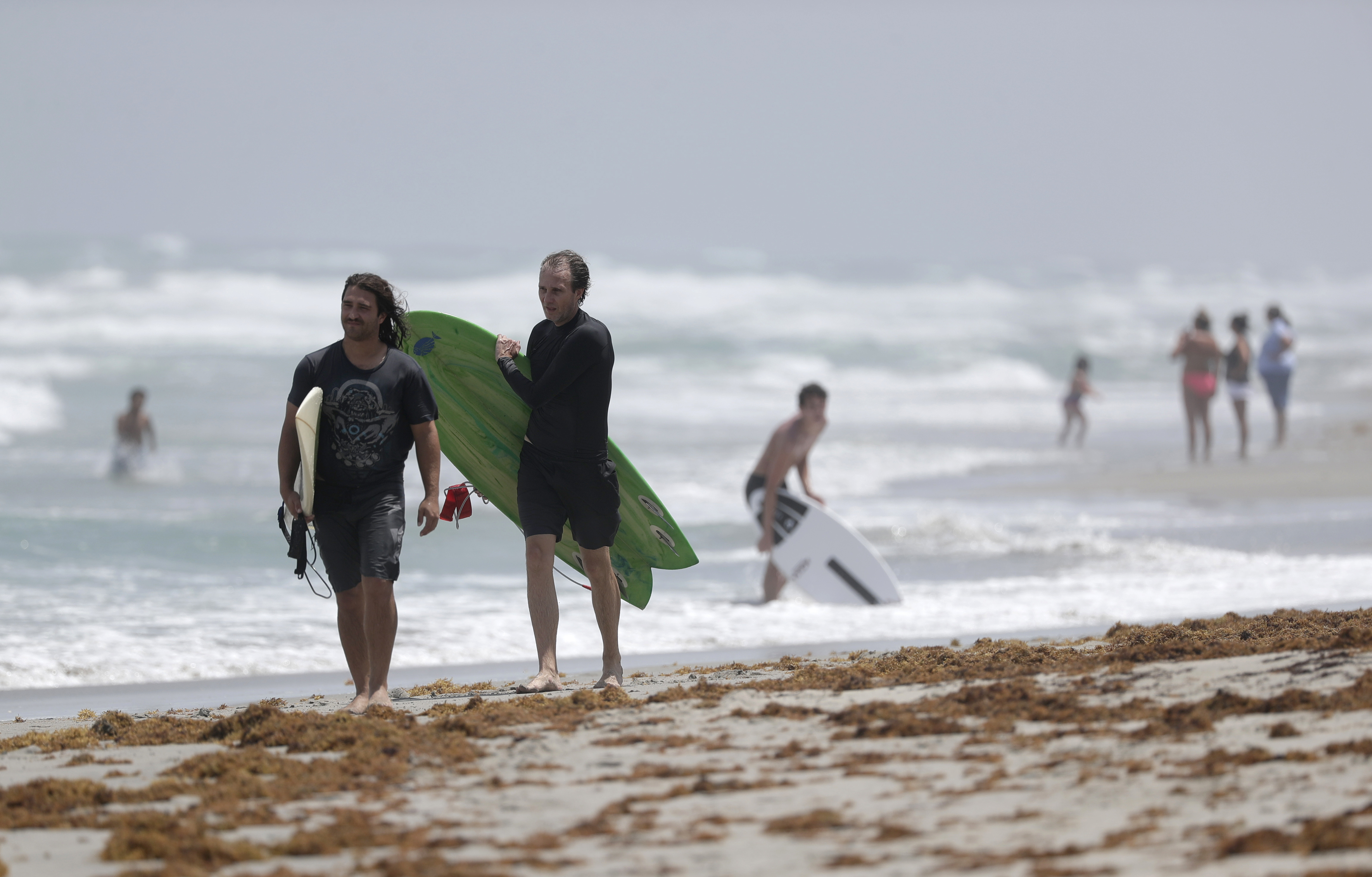 Surfers on Palm Beach, Aug. 1, 2020
