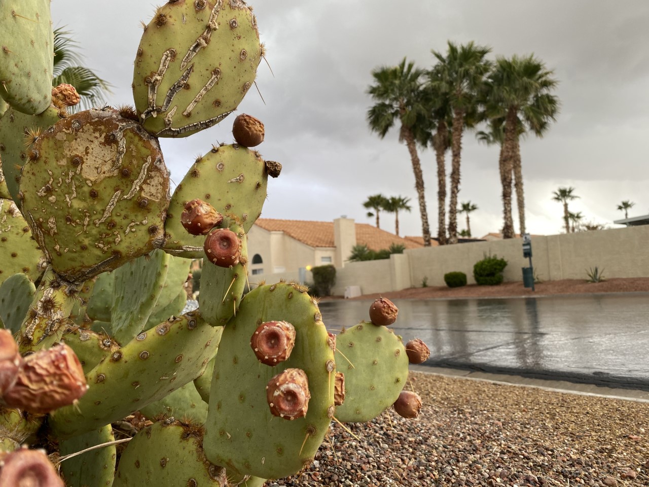 las vegas weather.jpg
