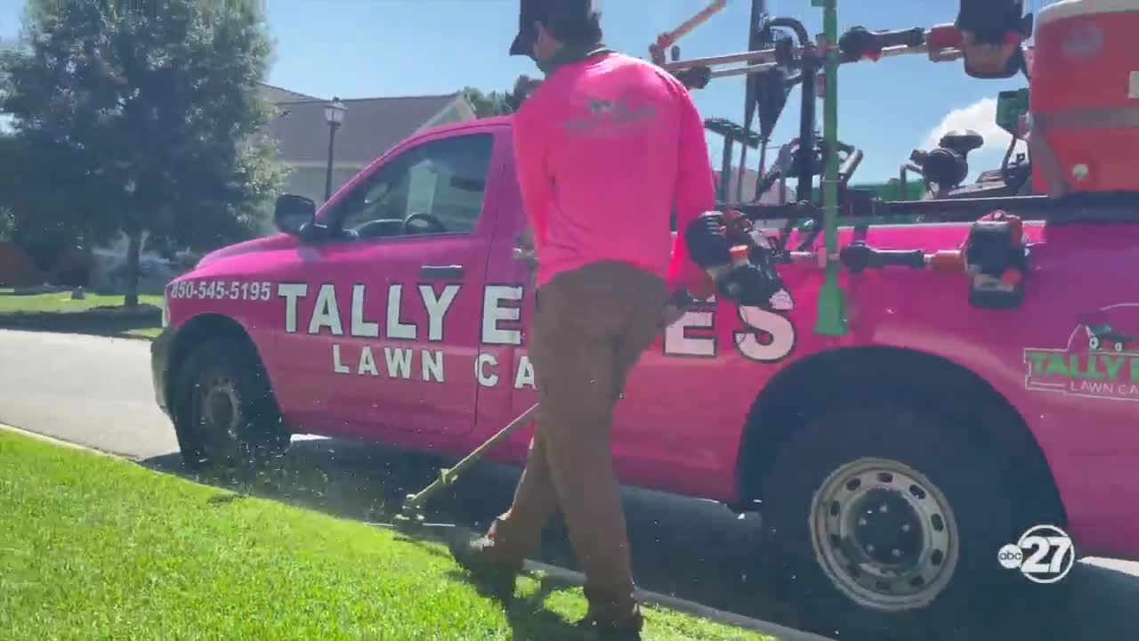 Rising fuel and labor costs push Tallahassee lawn care prices higher in 2026