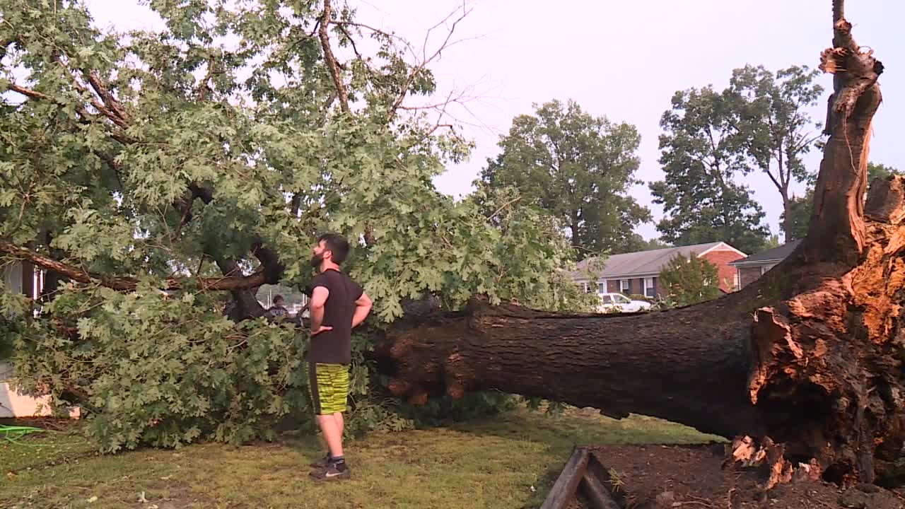 Poster image (8).jpg