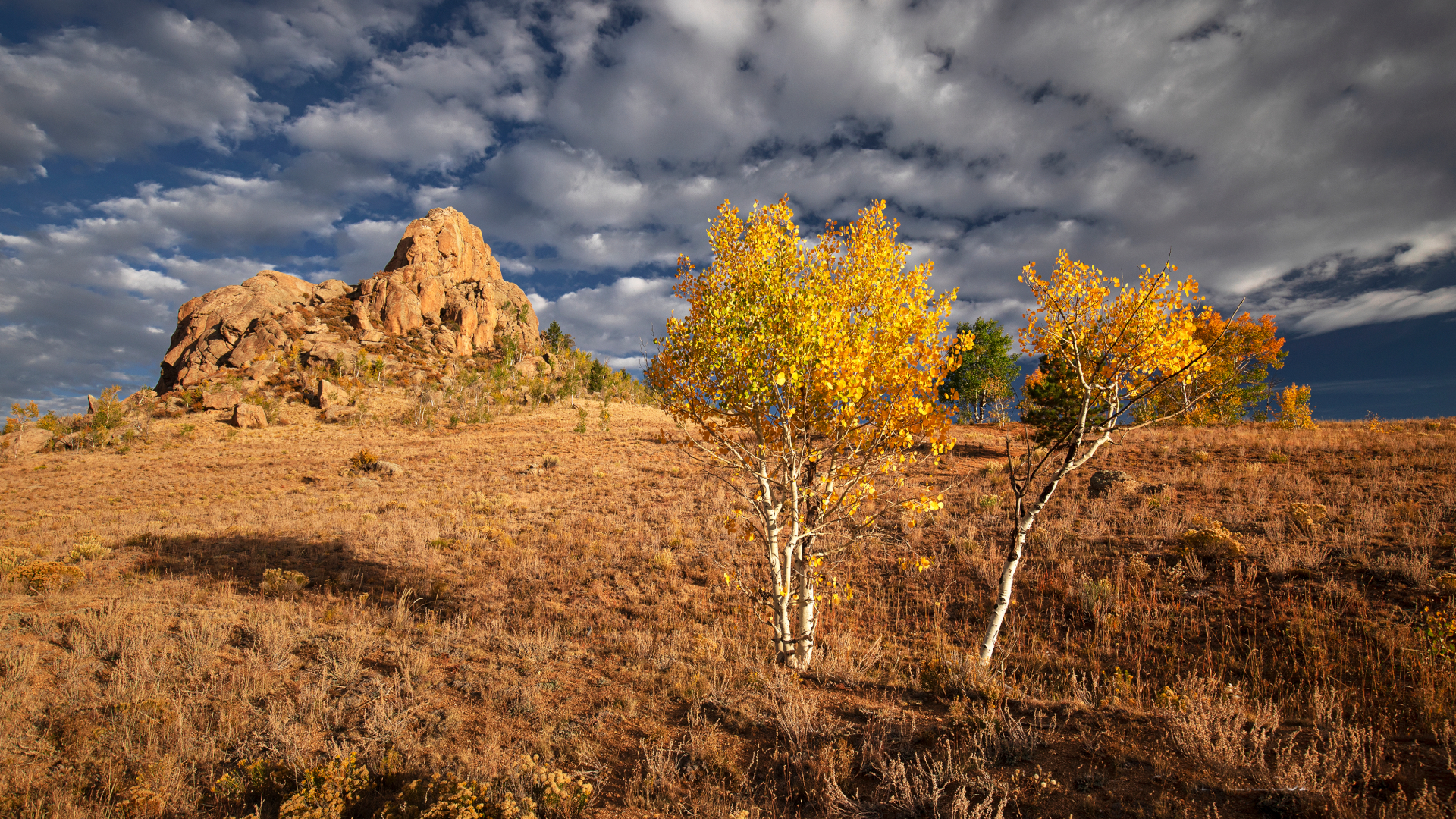 Castle Rock Gulch near Highway 285 Peter Schwepker.jpg