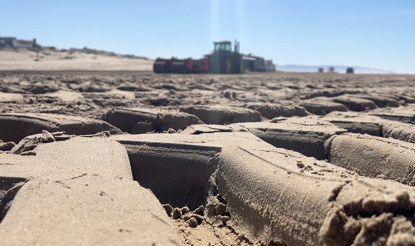 Oceano Dunes 