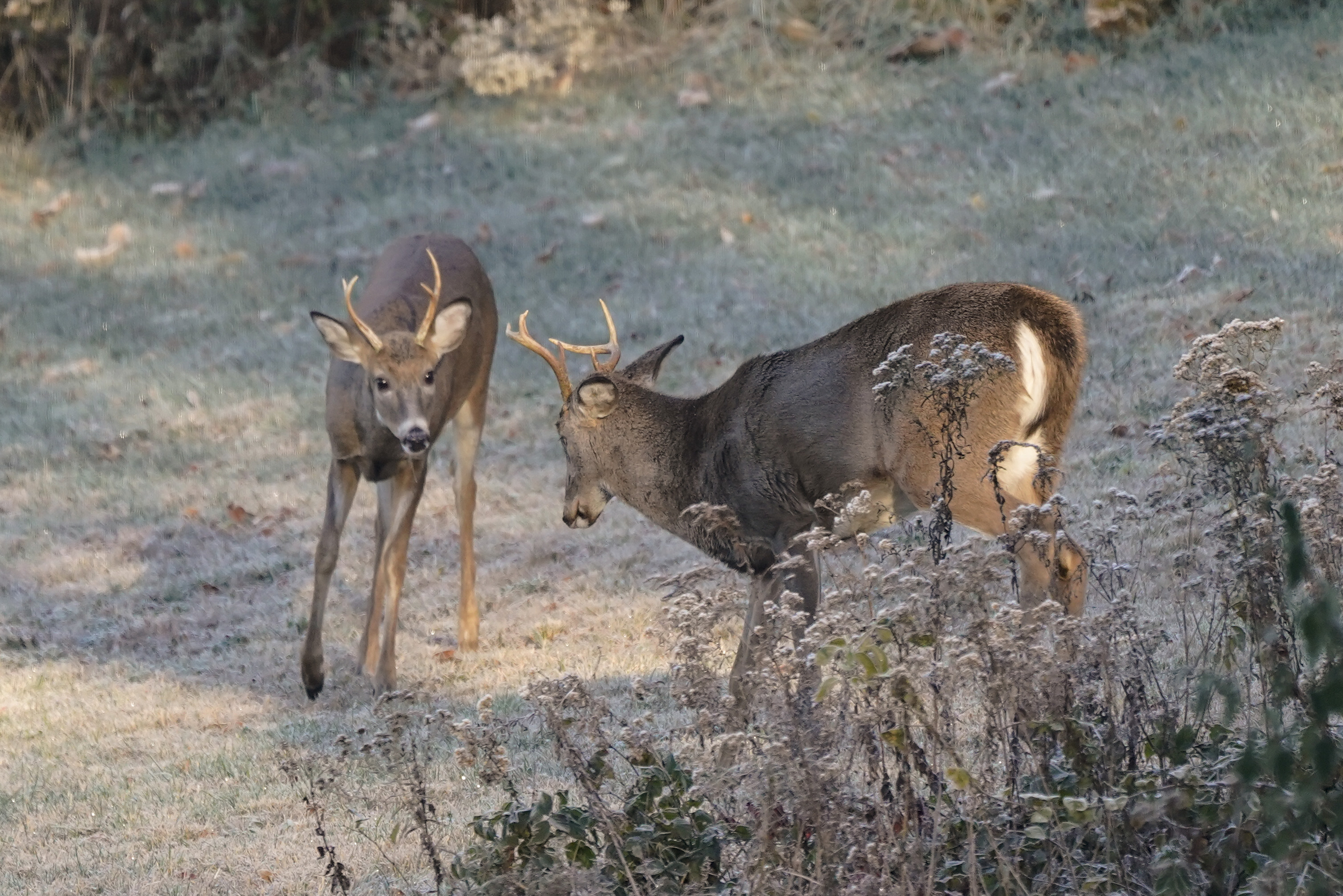 Pennsylvania Daily Life