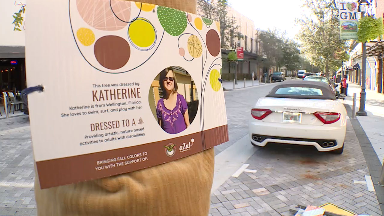 'Dressed to a Tree' project in West Palm Beach