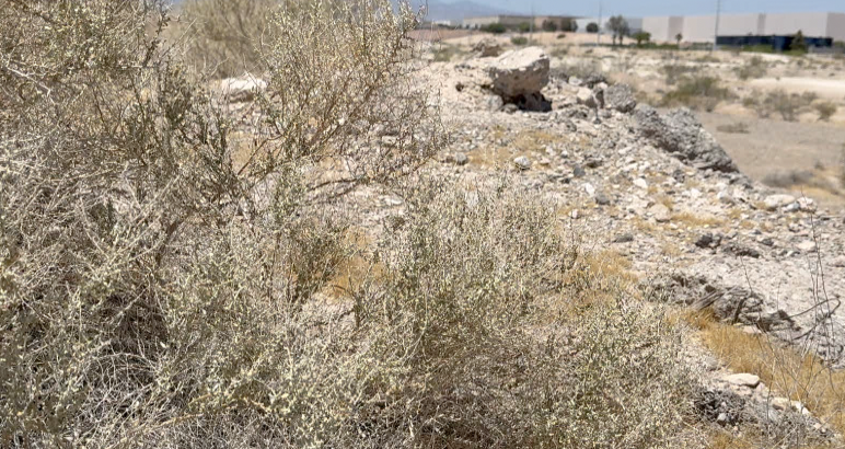 north las vegas 