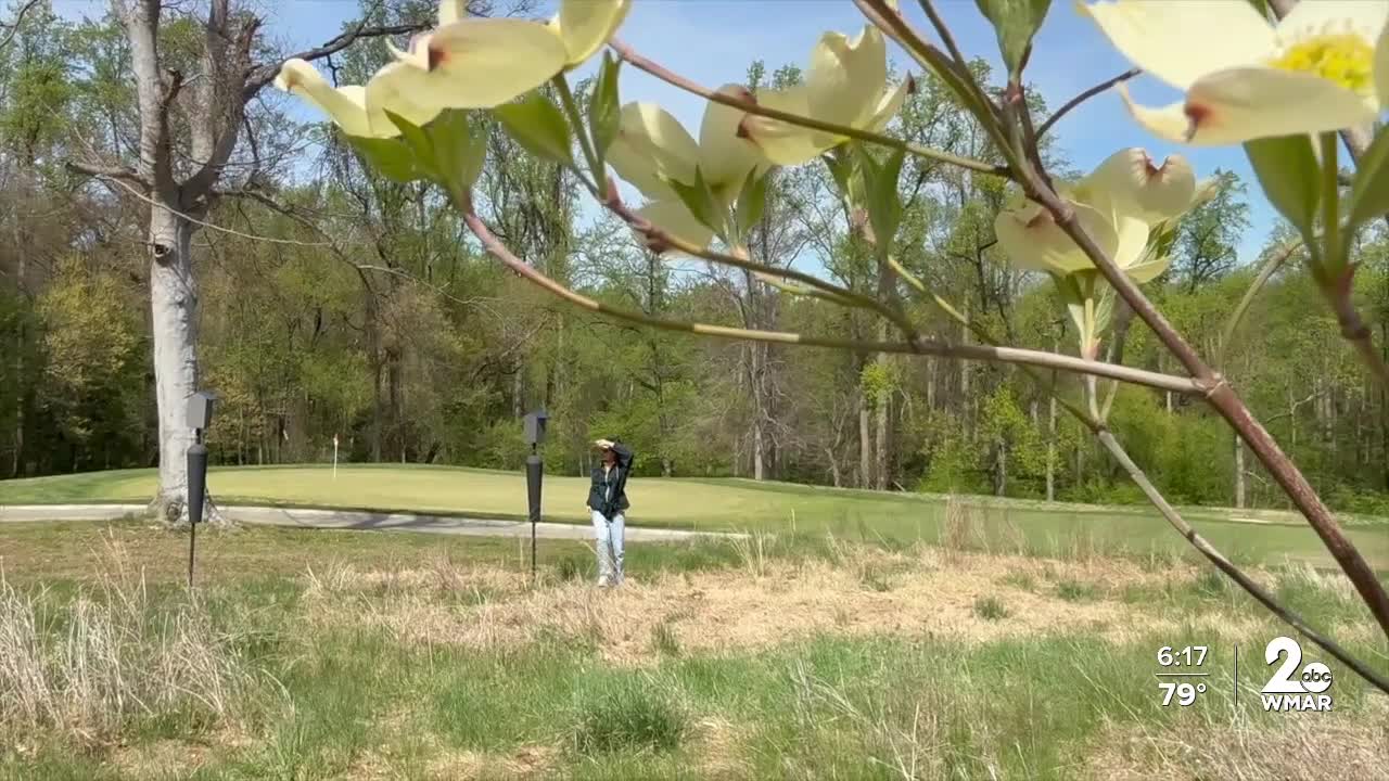 UMD golf course transformation.jpg