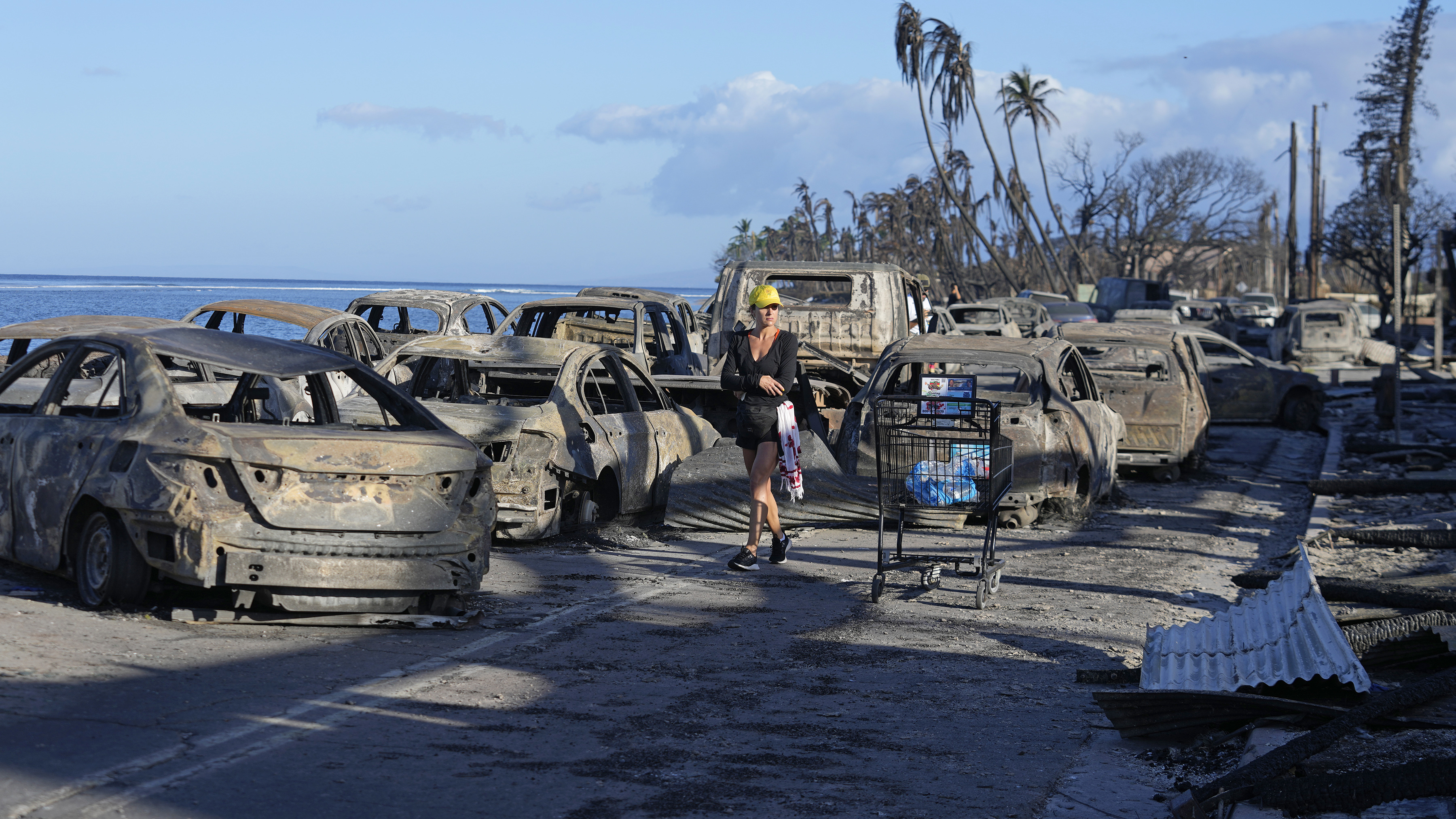 Hawaii Fires