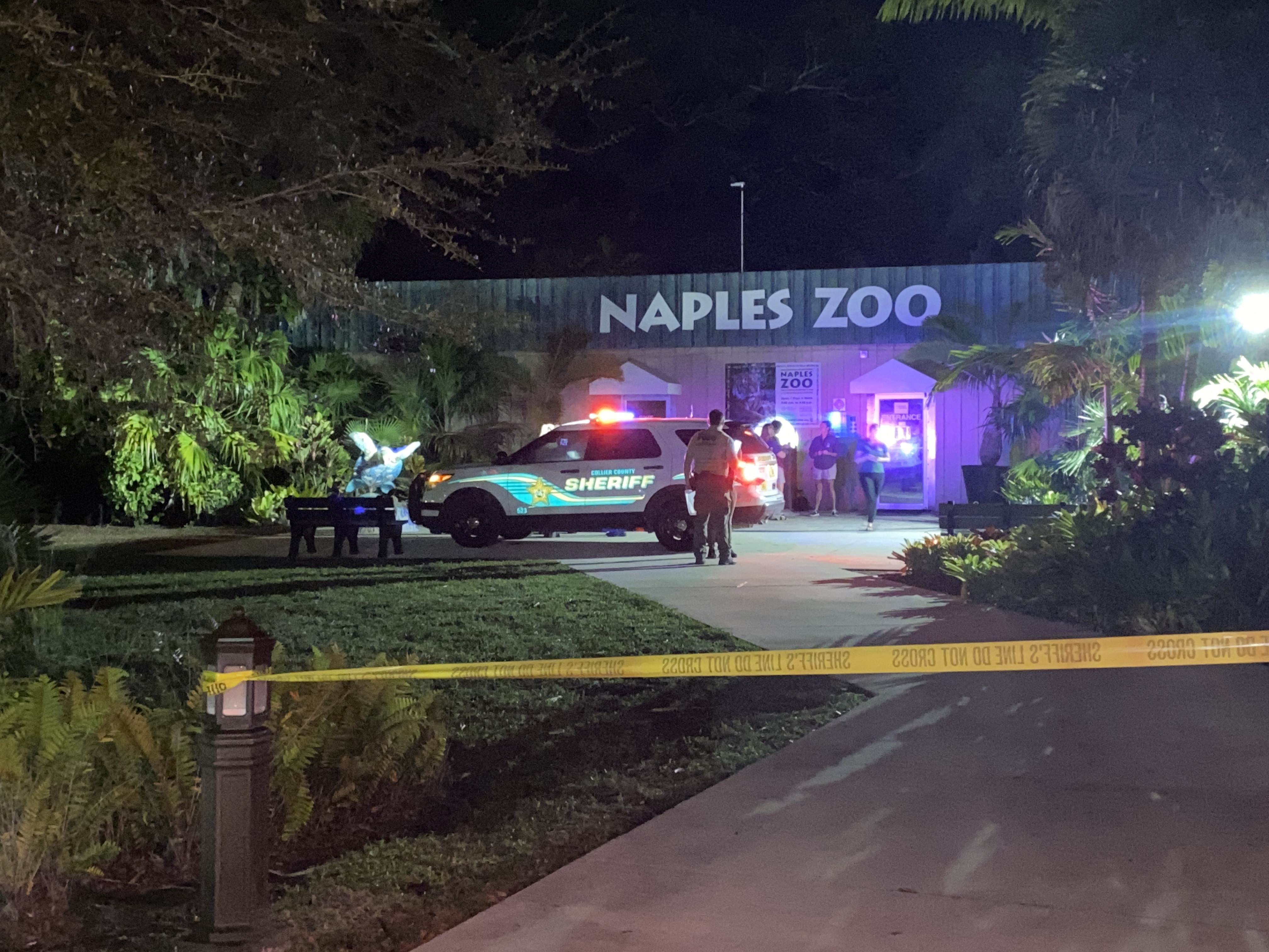 Person flown to the hospital after tiger attack at Naples Zoo