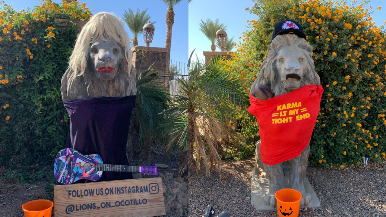 Lions on Ocotillo