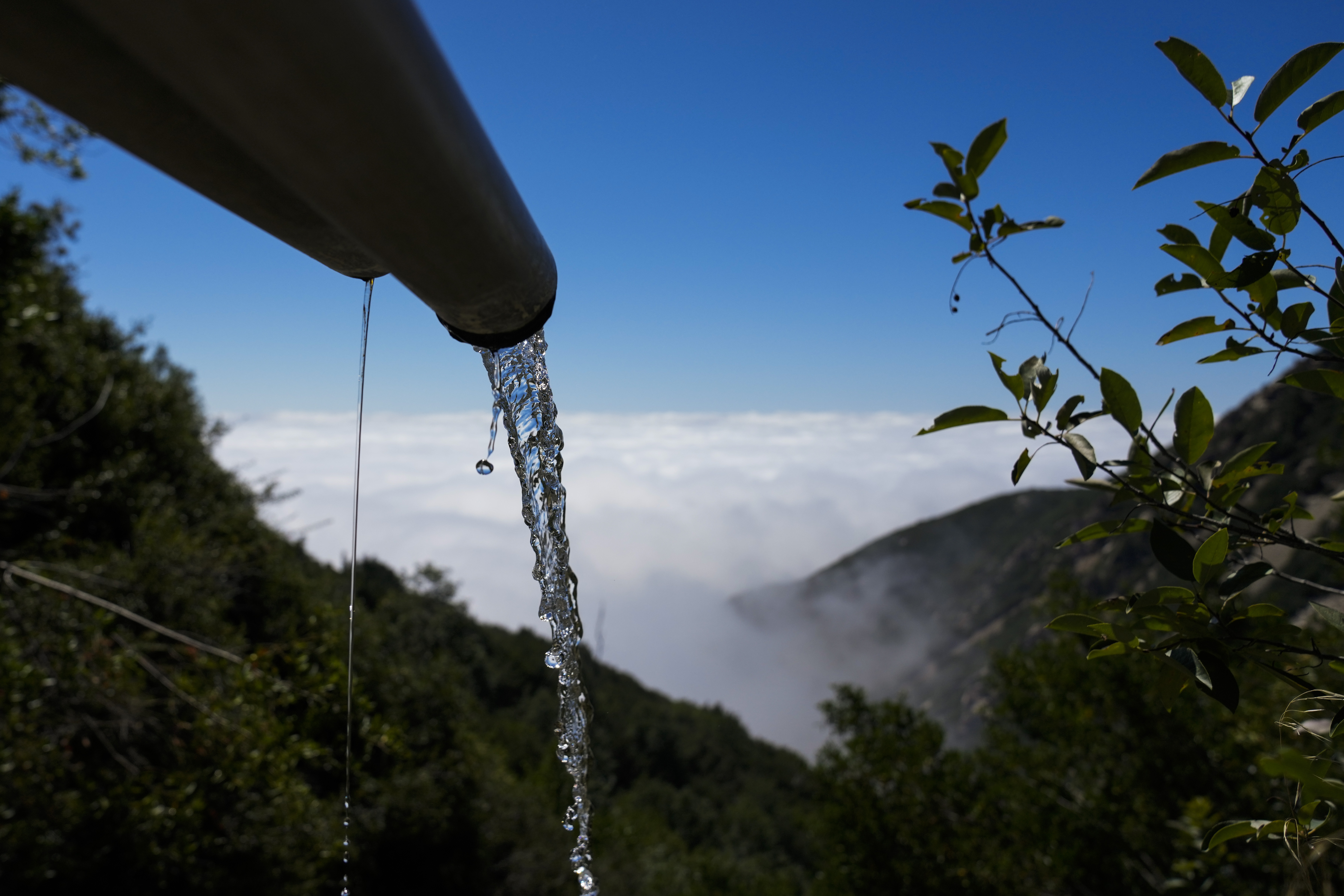 California Water Bottling Dispute