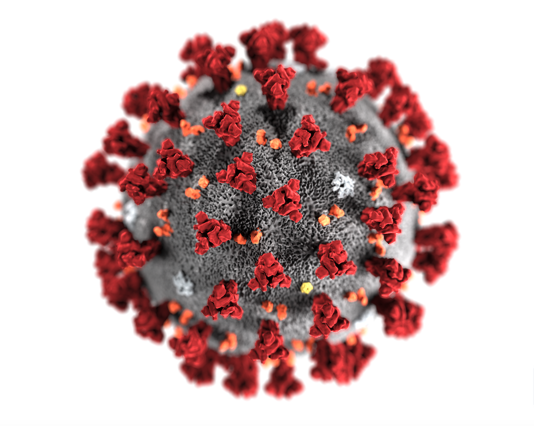COVID-19 Generic Coronavirus 