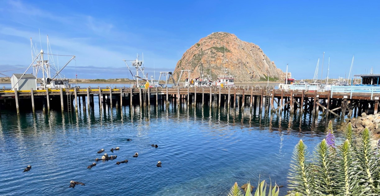 Morro Bay Monday Morning
