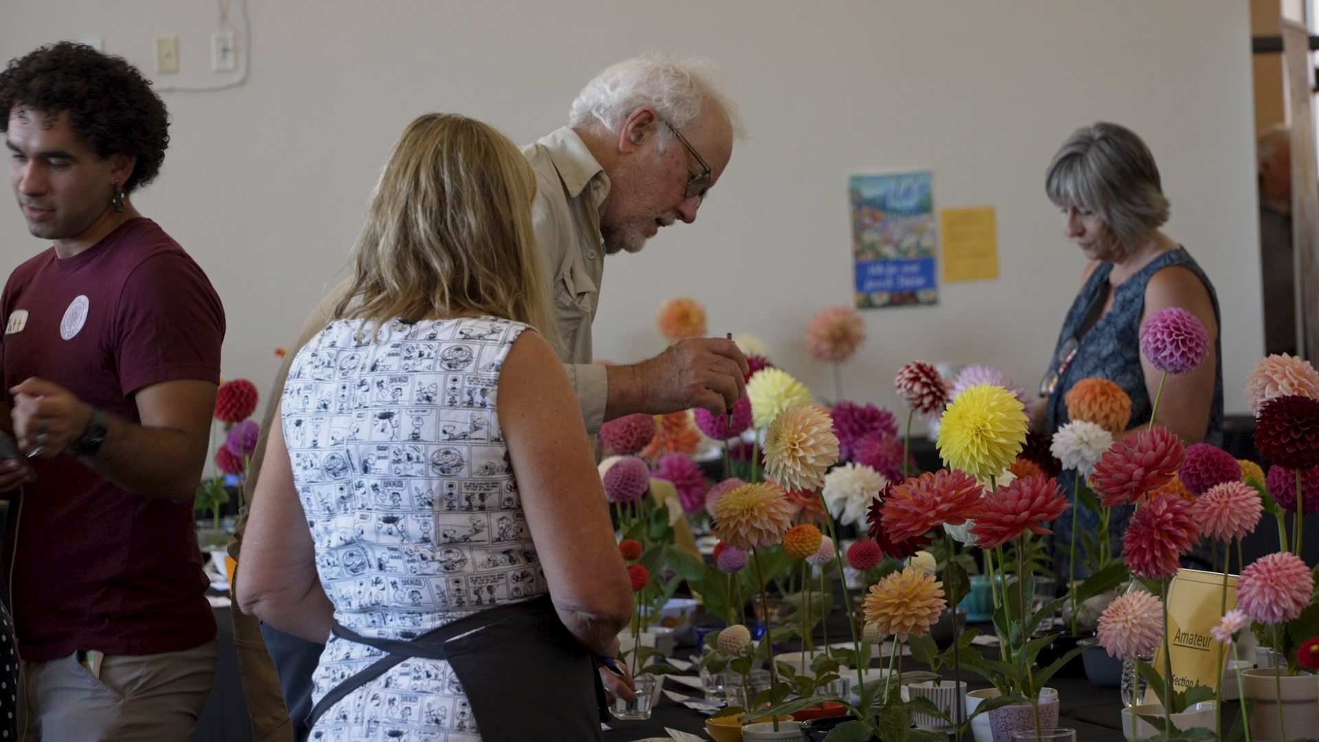 CC DAHLIA SOCIETY VO.00_00_07_14.Still001.png