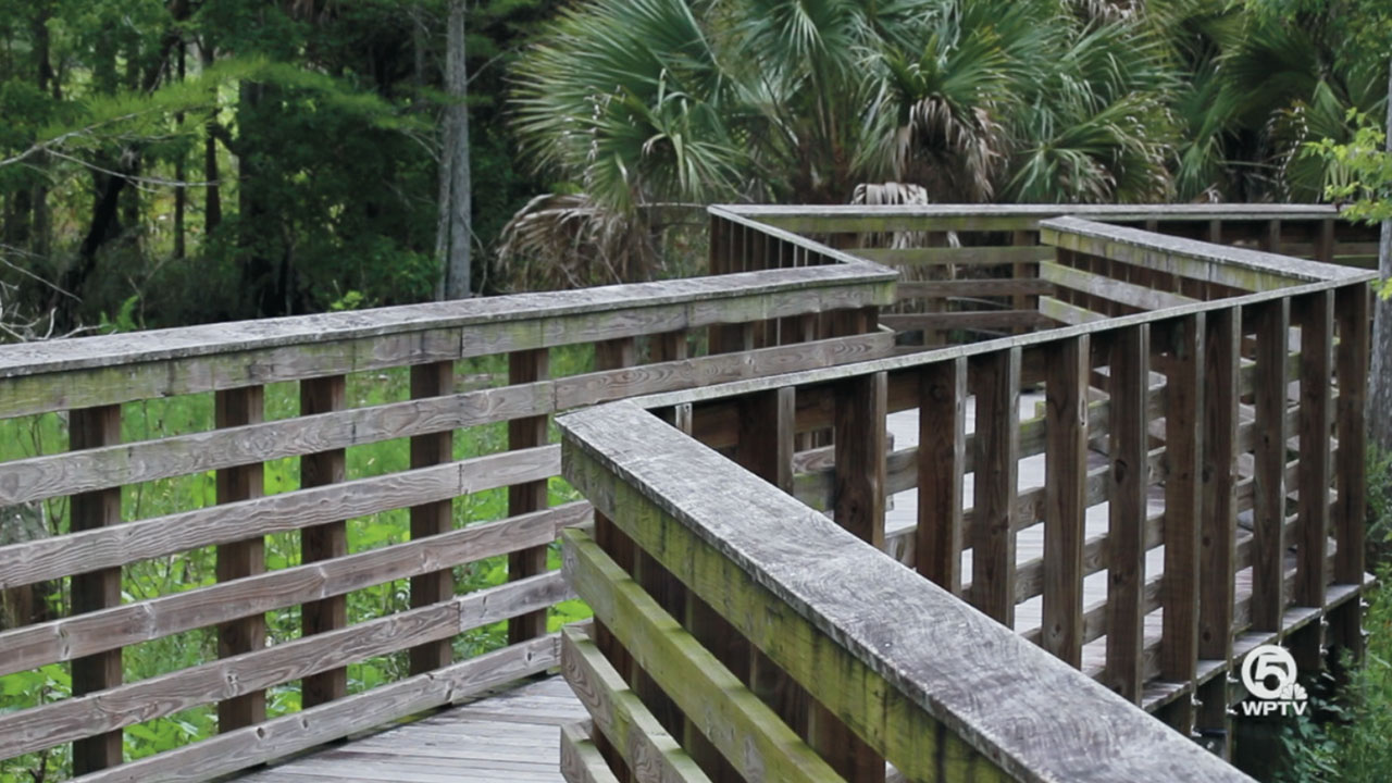 This 160-acre natural area preserves wet flatwoods, mesic flatwoods, depression marsh, and dome swamp ecosystems. The entrance to the park is at the north end of Jupiter Community Park. It is also home to several populations of rare plants. This site is designated as part of Florida's Greenways and Trails System.
