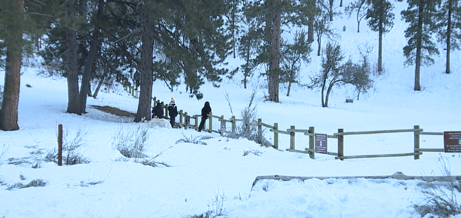 Screen Shot 2023-02-19 at 2.14.47 PM.png