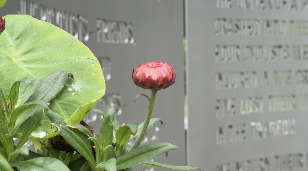 flower at memorial.png