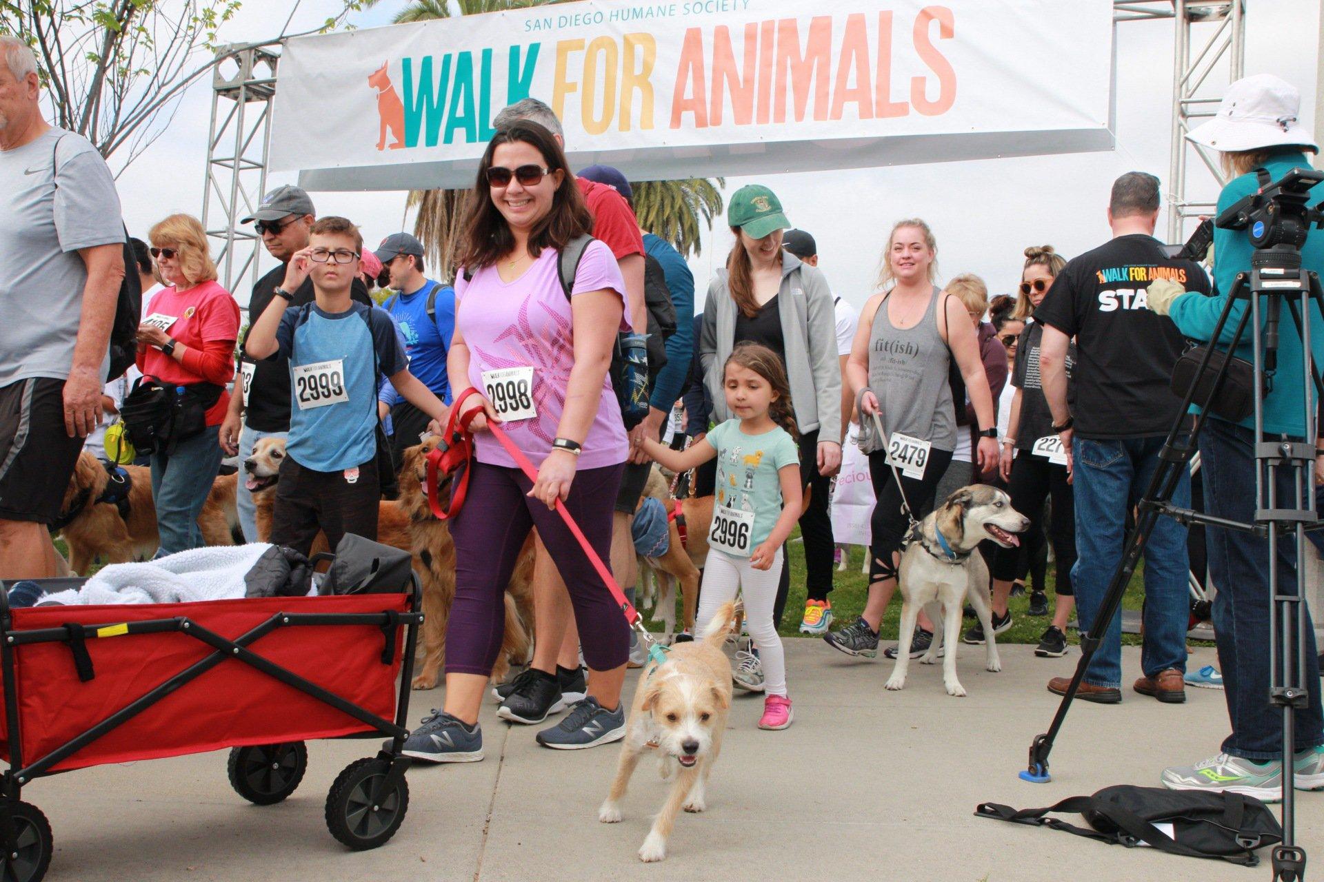 san diego humane society walk for animals