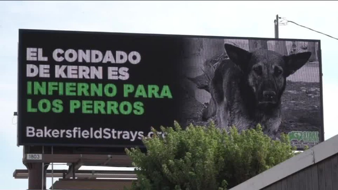 Dog dumping billboard