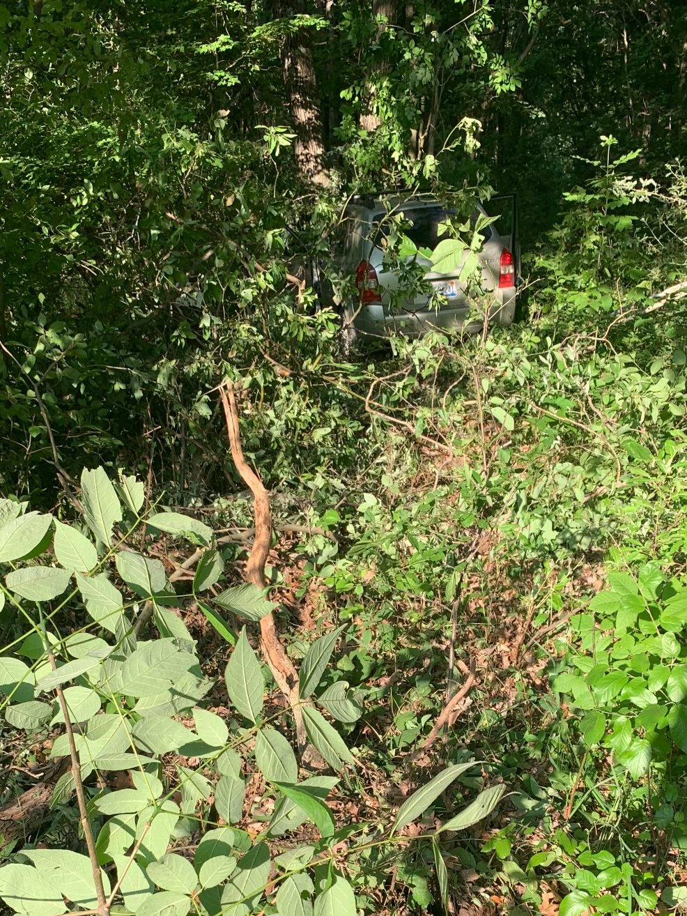6-1-23 deadly muskegon crash.jpg