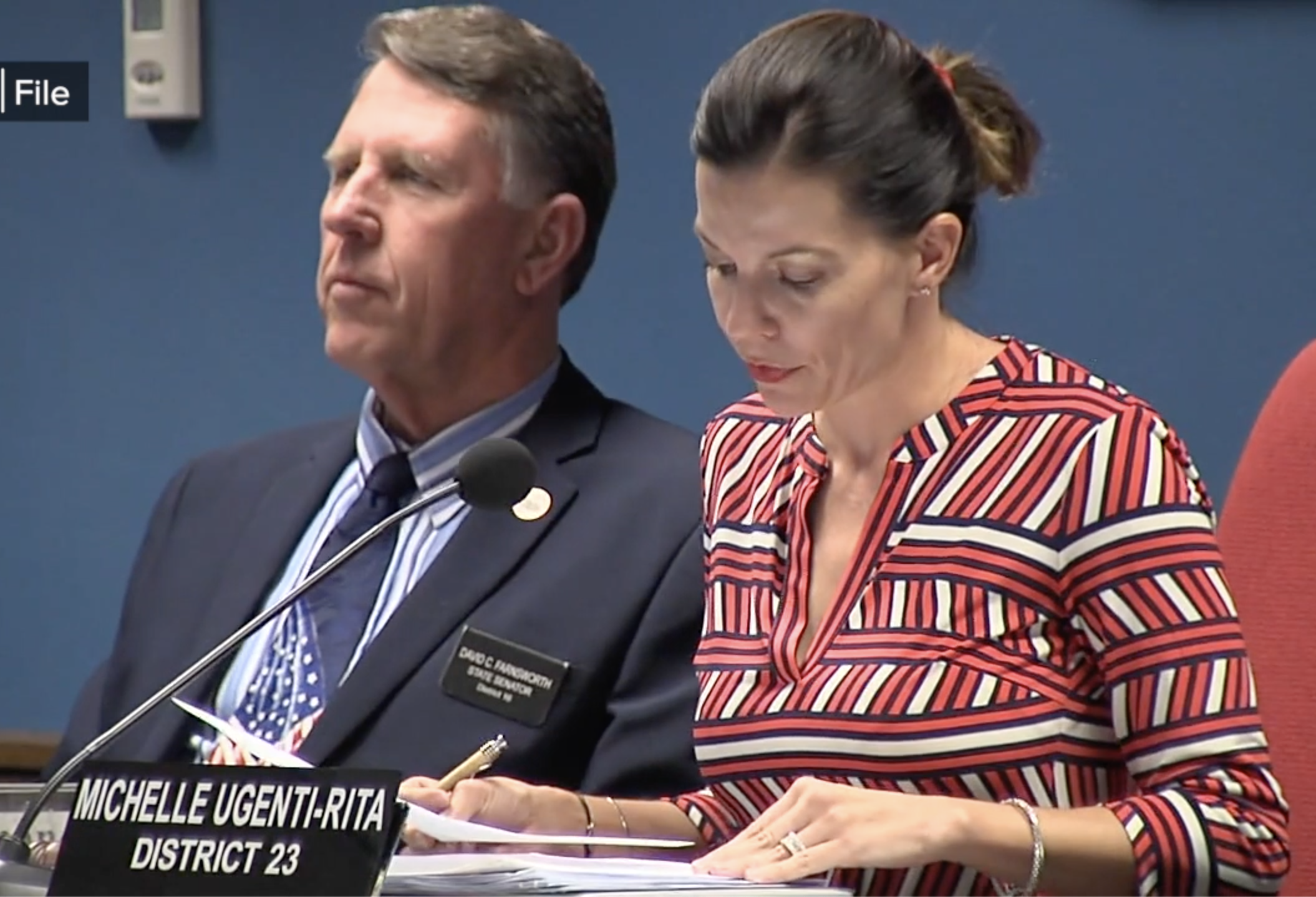 Michelle Ugenti-Rita