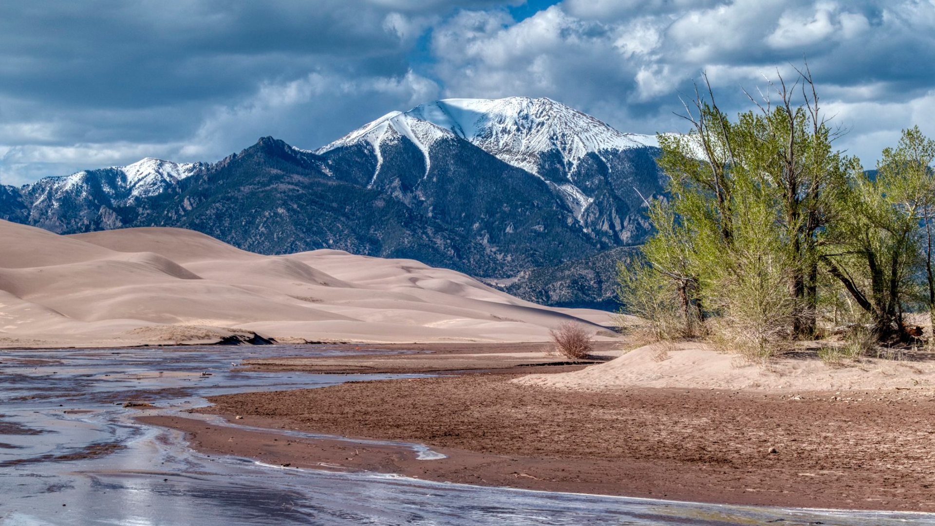 Great Sand Dunes National Park Larry Marr.jpg