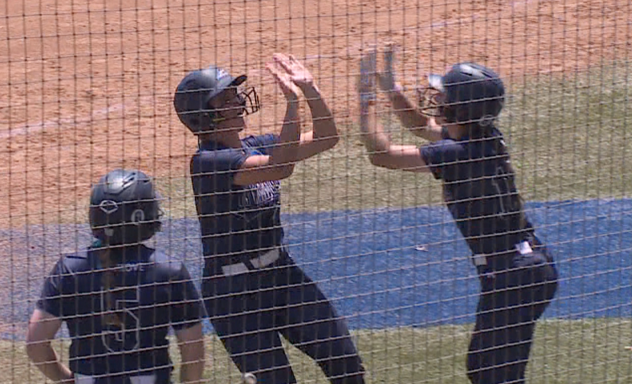 VIRGINIA WESLEYAN SOFTBALL.png
