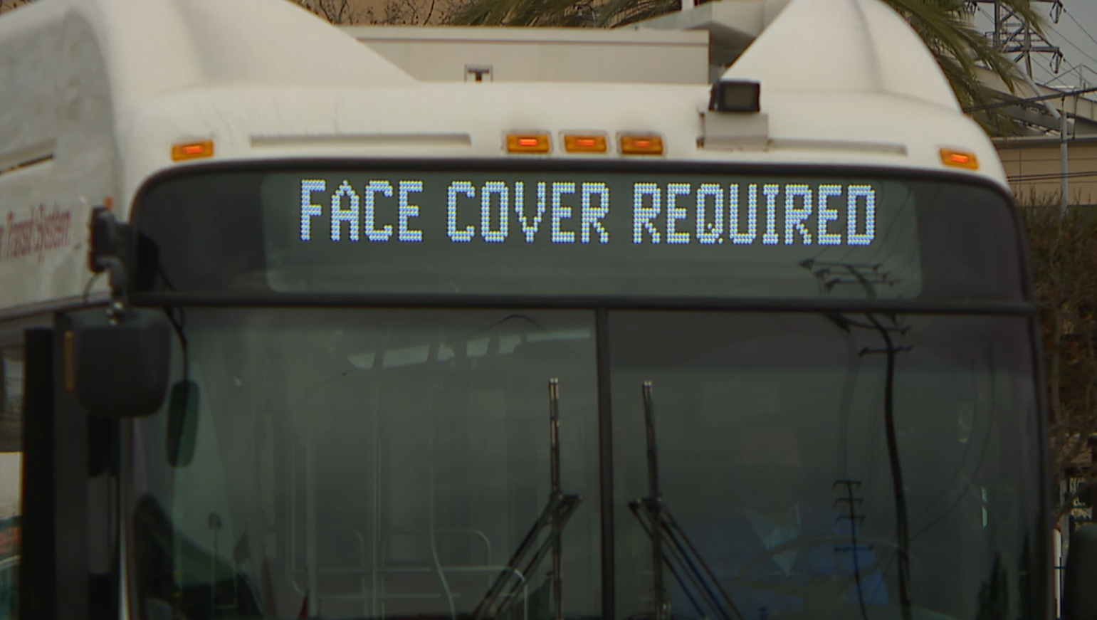 mask picture.PNG