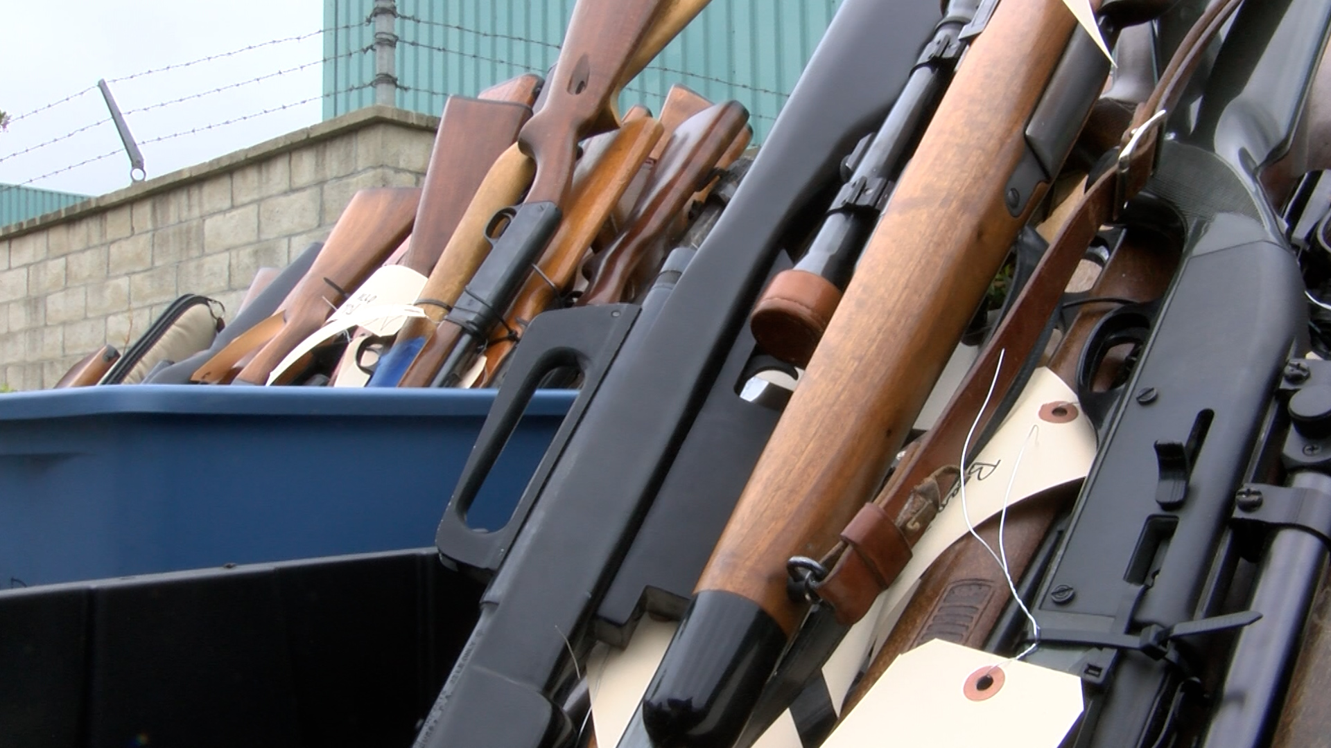 guns 4 groceries .jpg