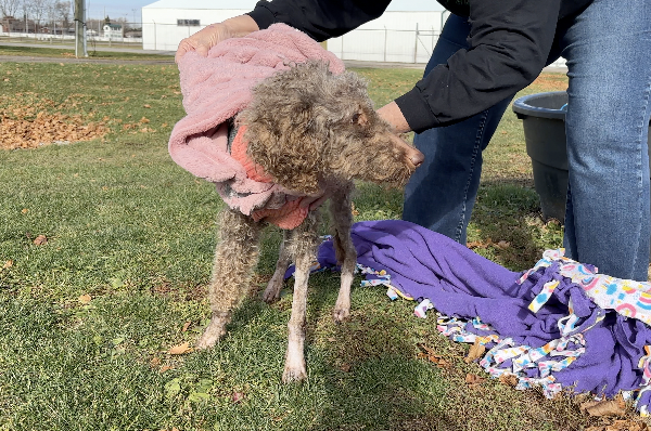 47119807-Screenshot 2025-11-19 at 3.33.21 PM.png