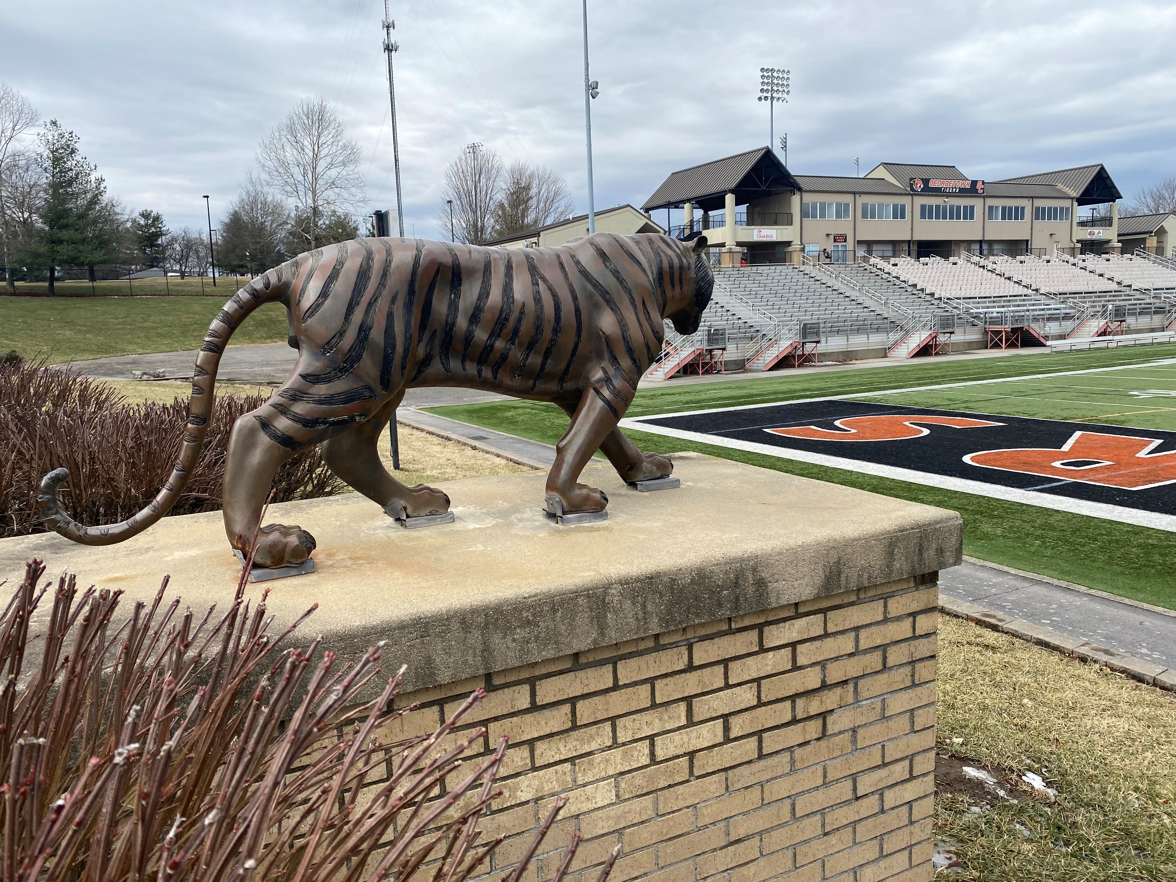 GTown Bengals.jpg