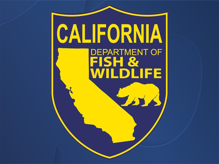 california_fish_and_wildlife.jpg