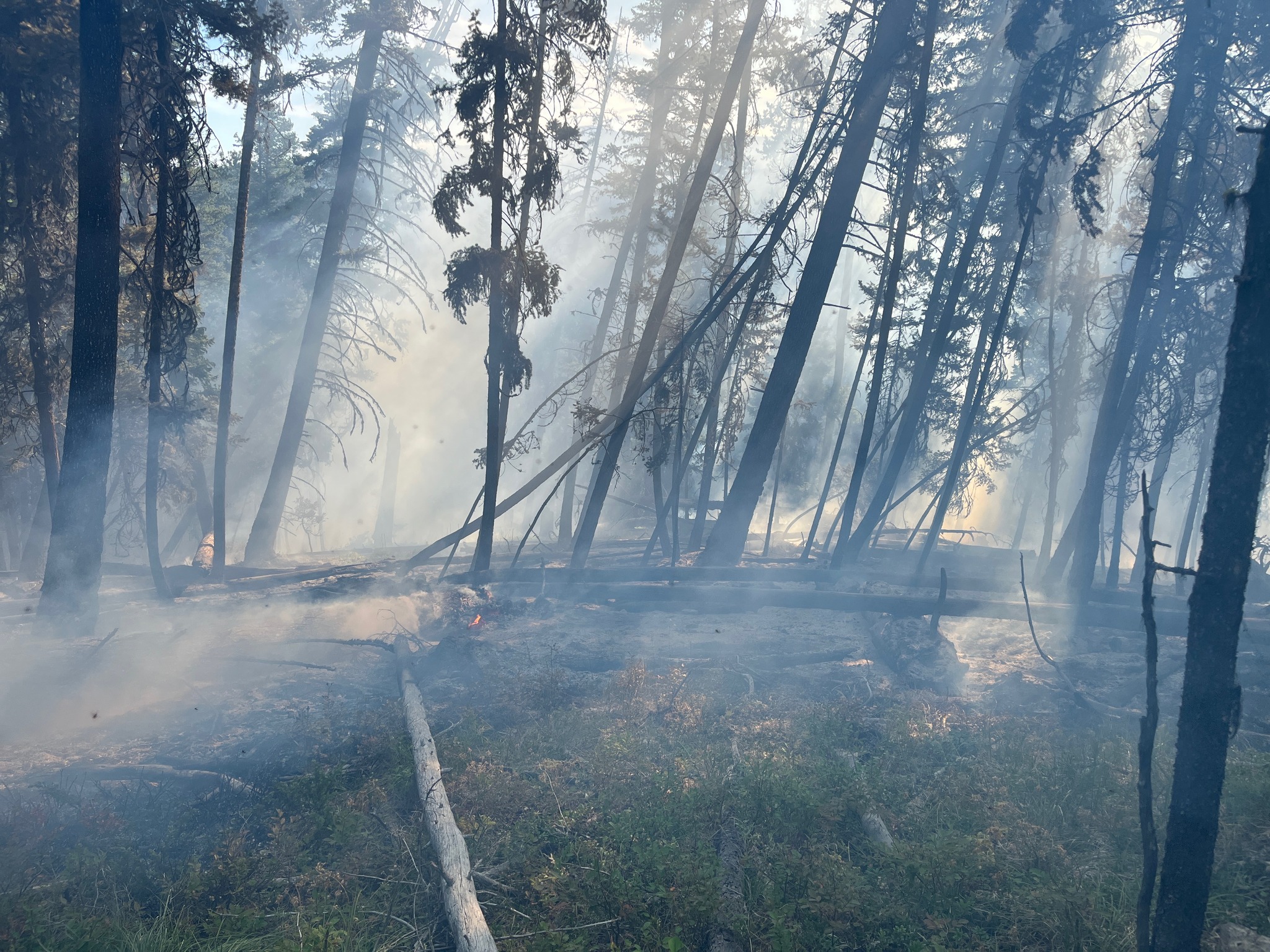 Miller Gulch Fire