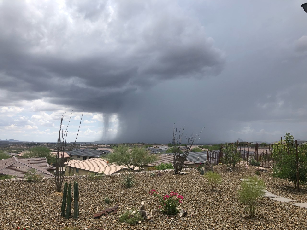 Monsoon 2022 Wickenburg