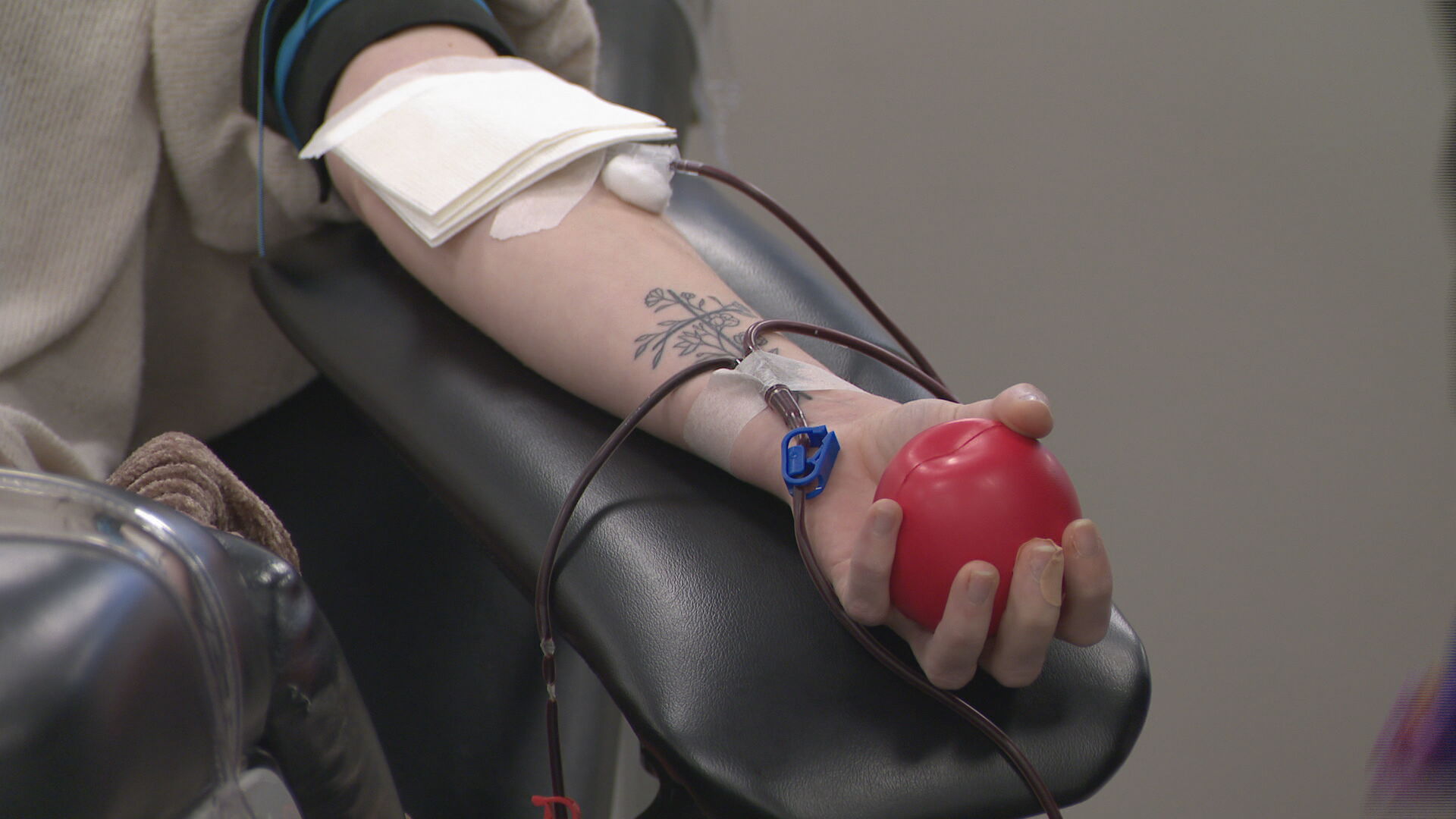 Blood donation shortage KR PKG_frame_125.jpeg