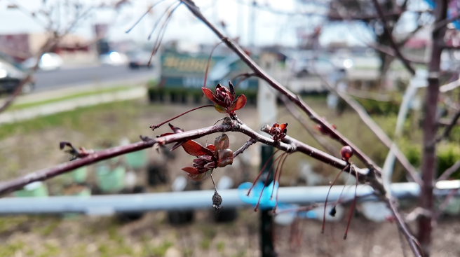 Screenshot 2026-03-20 at 5.18.51 PM.png